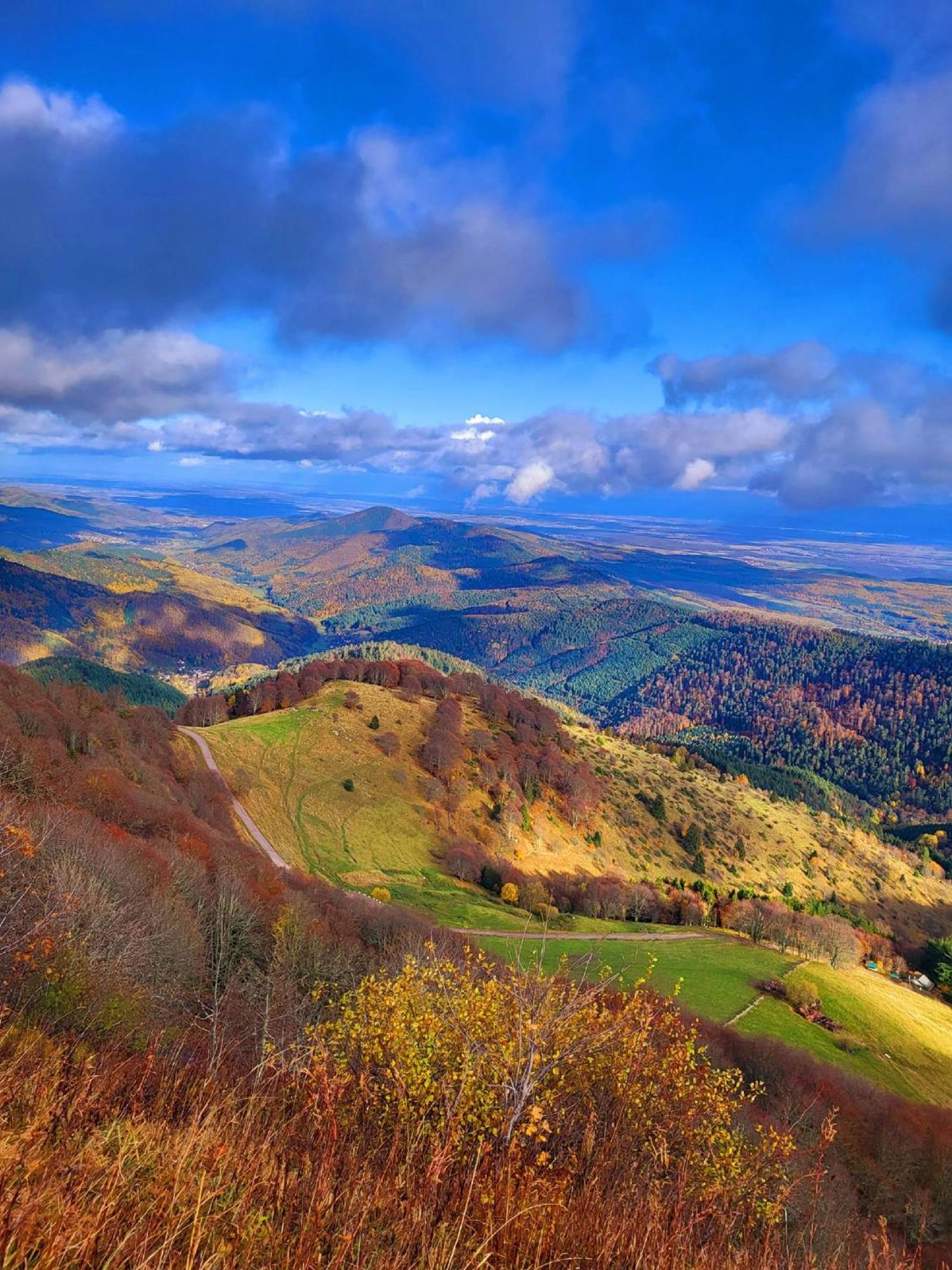 Le Panorama Du Murat Mulhouse Riedisheim 68 Haut-Rhin Alsace Saint-Louis Екстериор снимка