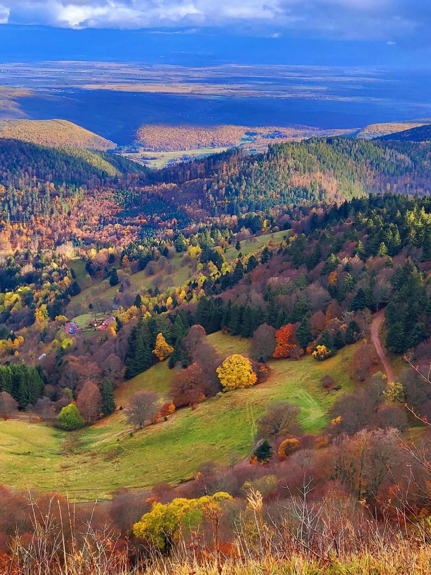 Le Panorama Du Murat Mulhouse Riedisheim 68 Haut-Rhin Alsace Saint-Louis Екстериор снимка
